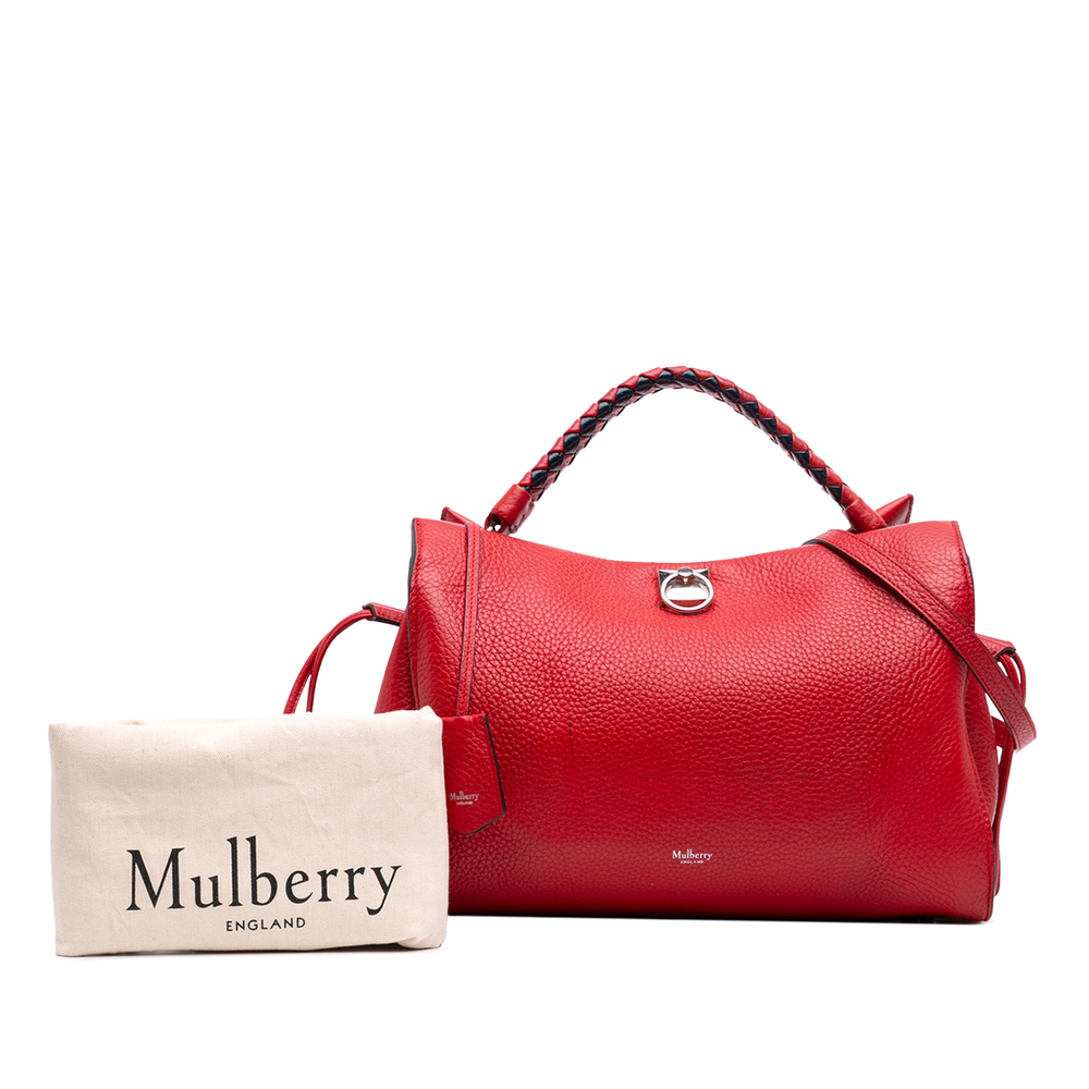 Pre-Loved Mulberry Medium Grained Calfskin Iris Satchel - Picture 7 of 7